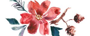 floral-6752135_1280
